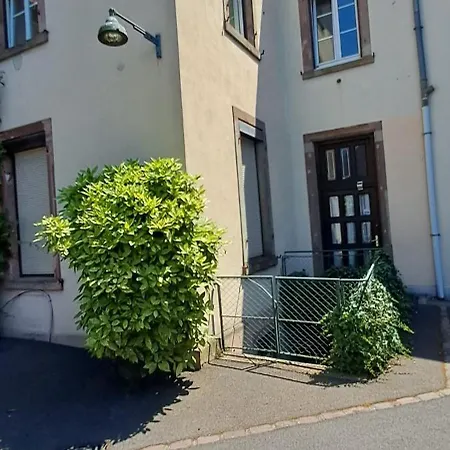 La Cigogne Reveuse Ensisheim