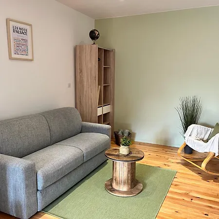 La Cigogne Reveuse Apartment Ensisheim