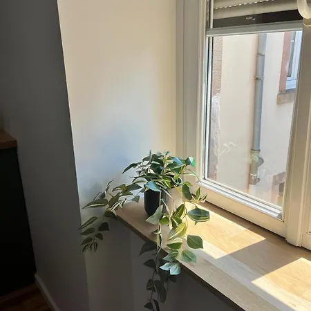 Apartment La Cigogne Reveuse