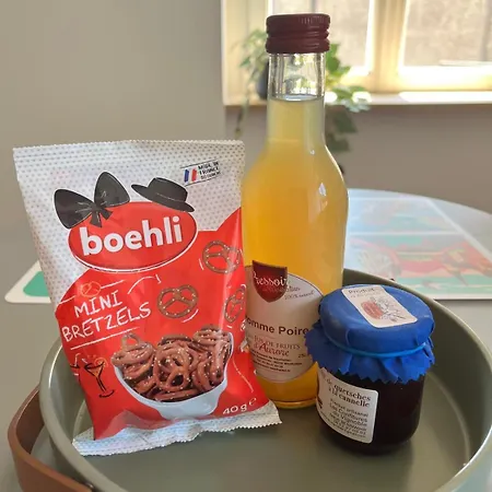 La Cigogne Reveuse Ensisheim