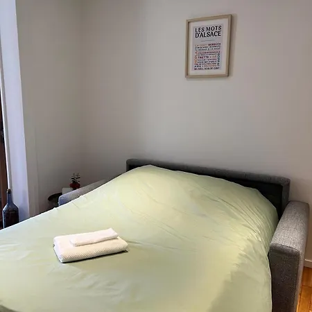 La Cigogne Reveuse Apartment Ensisheim