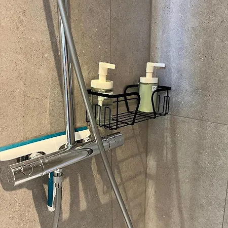 La Cigogne Reveuse * Ensisheim