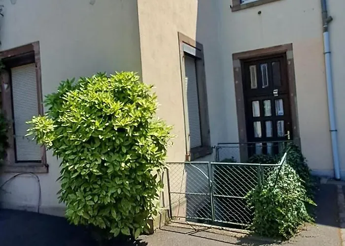 La Cigogne Reveuse Ensisheim