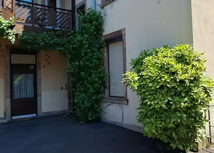 La Cigogne Reveuse Ensisheim