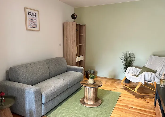 La Cigogne Reveuse Apartment Ensisheim