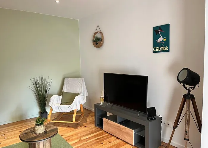 La Cigogne Reveuse * Ensisheim