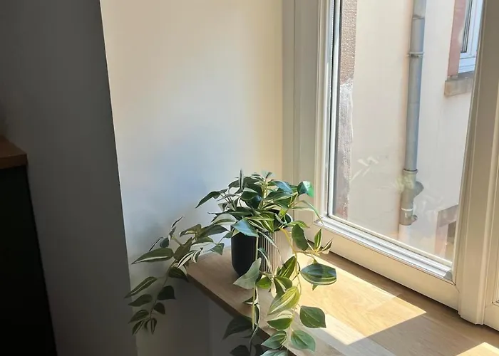 Apartment La Cigogne Reveuse