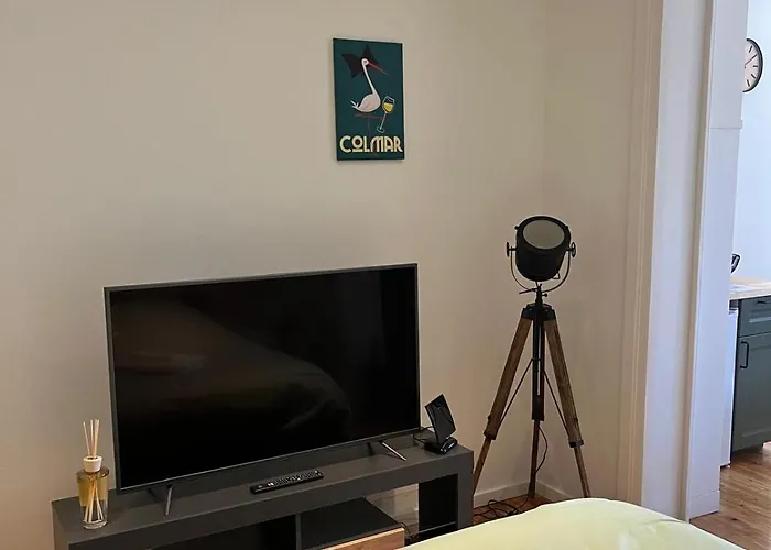 La Cigogne Reveuse Apartment *