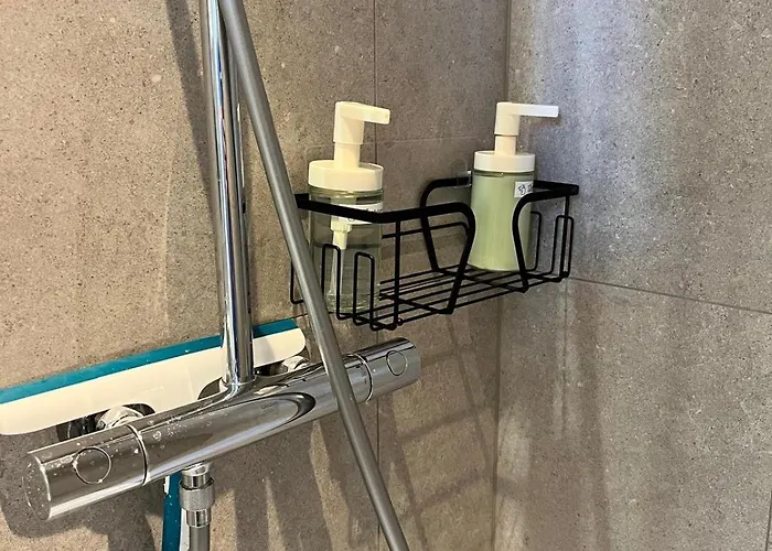 La Cigogne Reveuse * Ensisheim