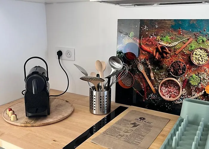 La Cigogne Reveuse Apartment *