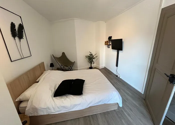 La Cigogne Reveuse Ensisheim