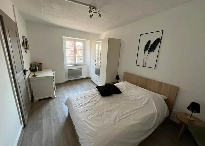 Apartment La Cigogne Reveuse Ensisheim